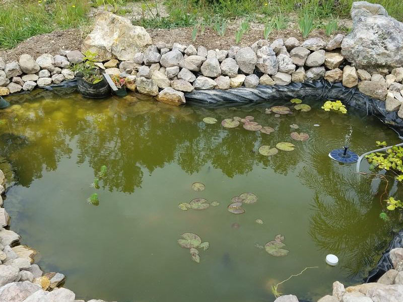 Каламутна вода у ставку навесні