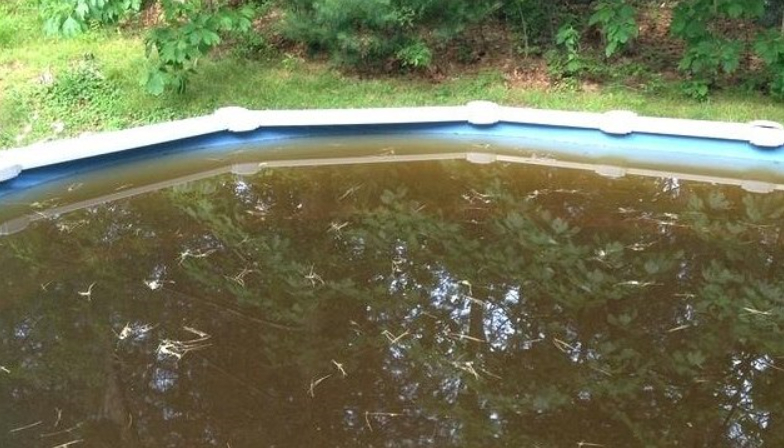 Усунення коричневої води в басейні