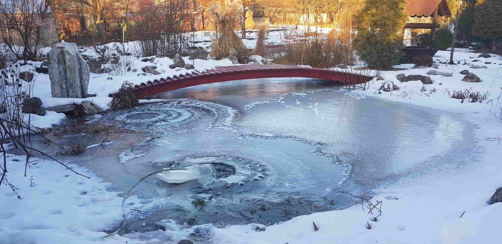 Ставок узимку
